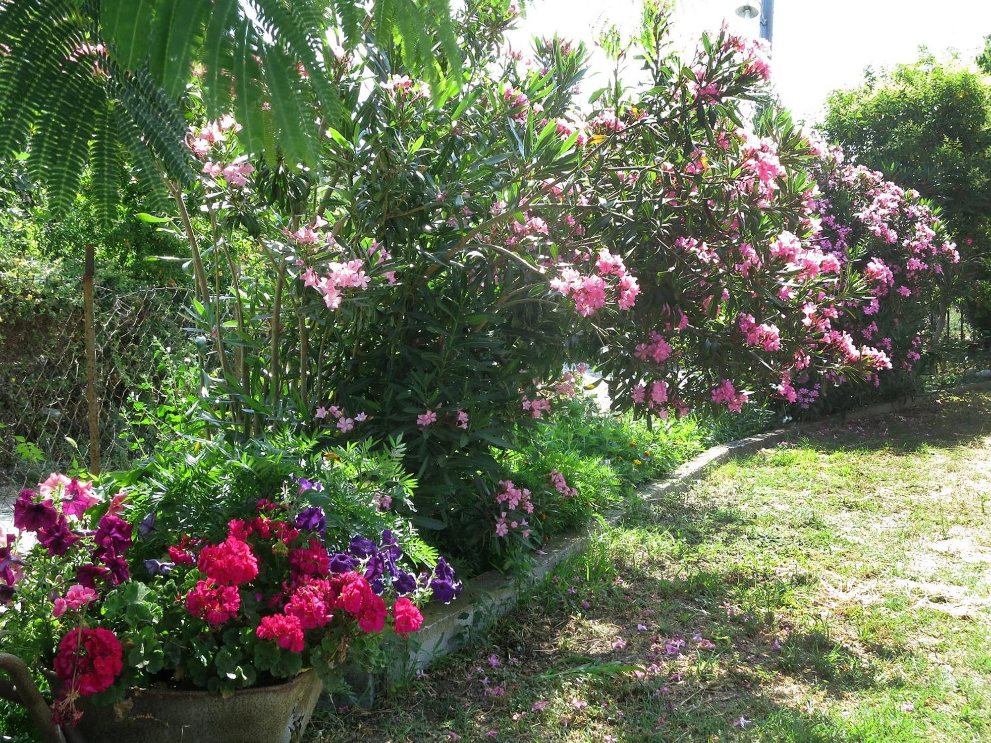 Thanasis Matsas Rooms Kamariotissa Exteriör bild